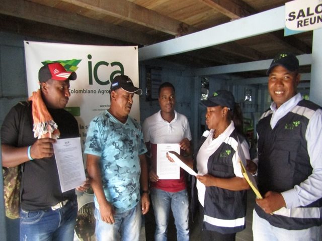 18 predios productores de plátano para exportación en fresco, son registrados por el ICA en Riosucio, Chocó