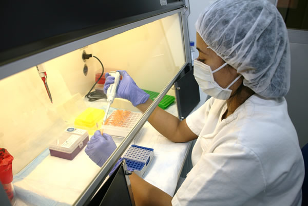 Colombia líder en el diagnóstico de la Influenza aviar y Newcastle 