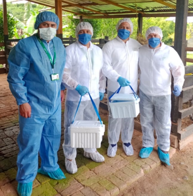 Foto-ICA-Actividades-sanitarias-control-enfermedad-de-newcastle-aviar-1.jpg