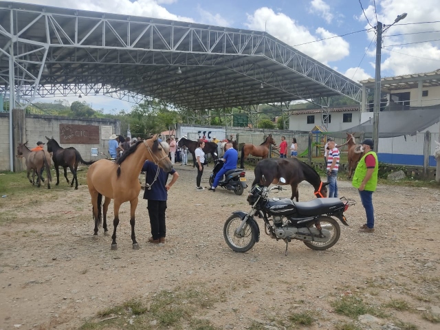 Foto-ICA-Jornada-de-vacunacion-contra-la-EVV-en-San-Roque-Antioquia-1.jpg Foto-ICA-Jornada-de-vacunacion-contra-la-EVV-en-San-Roque-Antioquia-1.jpg