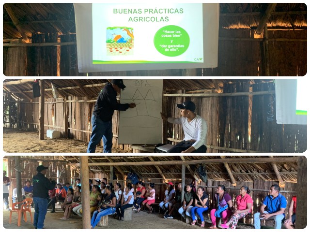 Taller de Buenas Prácticas Agrícolas en el cultivo de caña panelera en Vaupés. 
