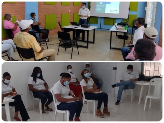 Comunidades agrícolas de Bolivar y Córdoba reciben capacitación en el uso de semillas certificadas