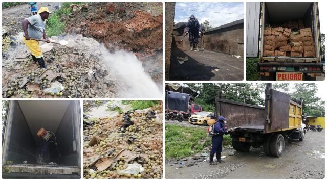 fotos-ICA-peras-plaga-valle.jpg