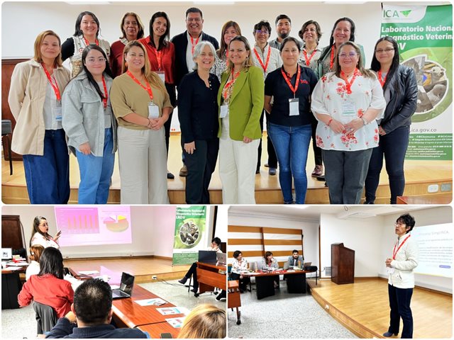 Participantes en el taller. 