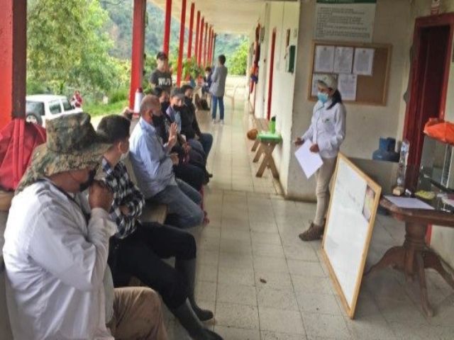 Productores y exportadores, unidos con el ICA  por la sanidad del sector frutícola del Quindío 