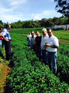El gerente general del ICA, Luis Humberto Martinez Lacouture, recorrió cultivos de plantas aromáticas del oriente de Antioquia