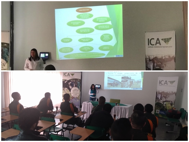 Entidades articuladas para salvaguardar el estatus sanitario en Nariño 