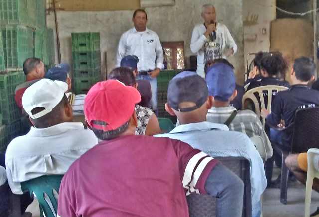 El ICA trabaja con los productores de guayaba en el Magdalena  