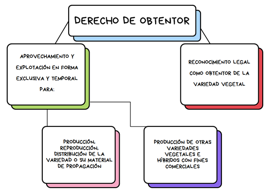 Mapa-Derecho-de-Obtentor.png