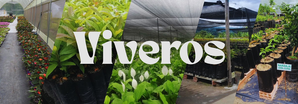 BANNER-VIVERO-PG.png BANNER-VIVERO-PG.png
