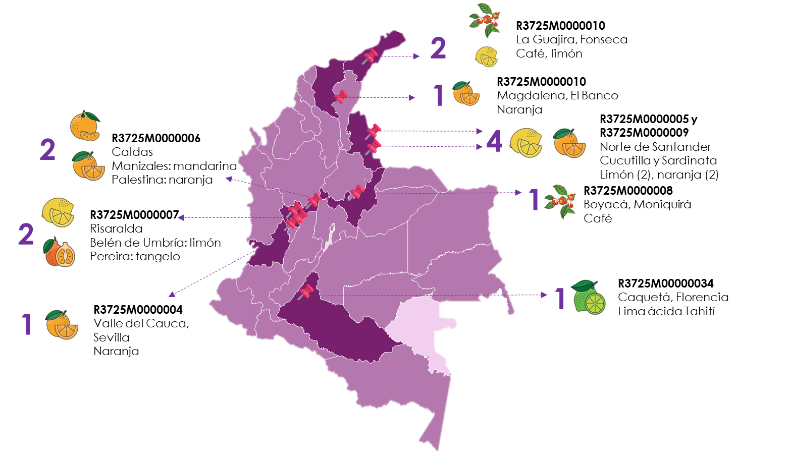 Distribucion-de-los-reportes-positivos-a-X-fastidiosa-en-Colombia-2.png