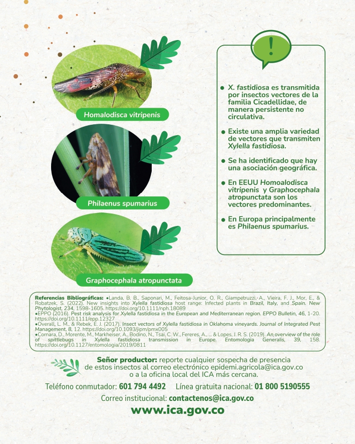 Cartilla-Xylella-Fastidiosa-2.jpg