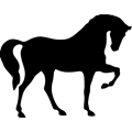 caballo-de-pie-sobre-tres-patas-en-forma-negra-de-vista-lateral.png