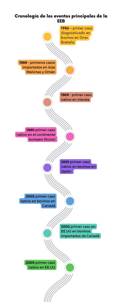 Infografia-de-Encefalopatia_page-0001-1.jpg