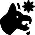 rabia.png