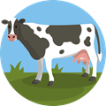 vaca.png