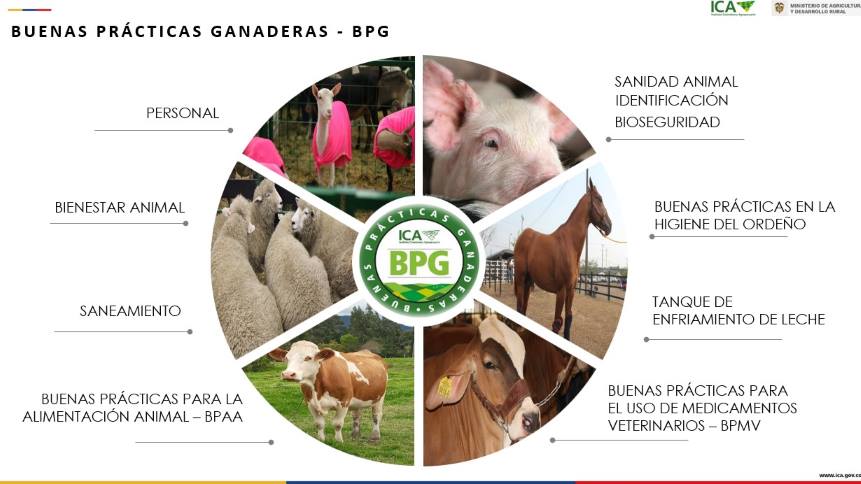 BPG-pag-web_2-Oct-2023.jpg