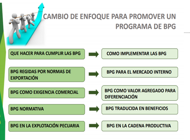 CAMBIOS-DE-ENFOQUE-BPG.png CAMBIOS-DE-ENFOQUE-BPG.png