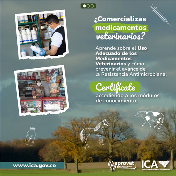 imagen-curso-aprovet-1.png