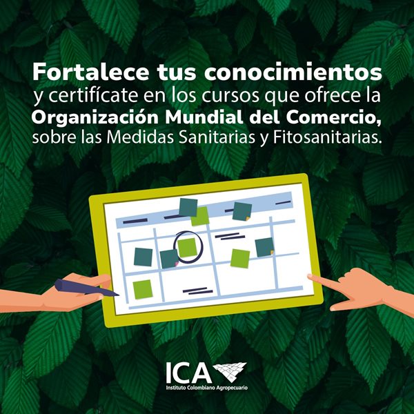 Cursos OMC - MSF OMC_Medidas_Sanitarias_Fitosanitarias.jpg