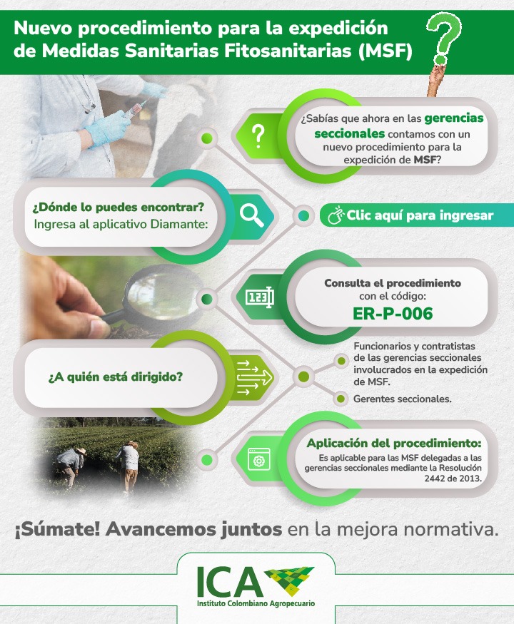 INFOGRAFIA-MSF-2.jpeg INFOGRAFIA-MSF-2.jpeg