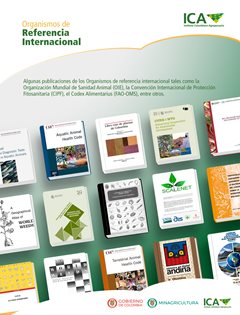 infografia-direcion-de-evaluacion-3-1-3.jpg