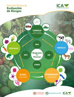 infografia-direcion-de-evaluacion_diagrama_proceso.jpg