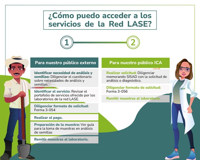 3-Pagina-web-servicios-Red-LASE.jpeg