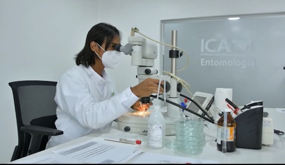 ldf-cucuta.jpg