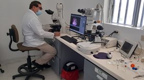 Laboratorios