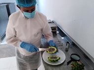 img14.jpg