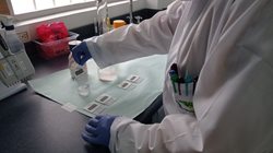 Laboratorio 