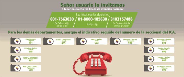 Bannner-directorio-Telefonico.jpg