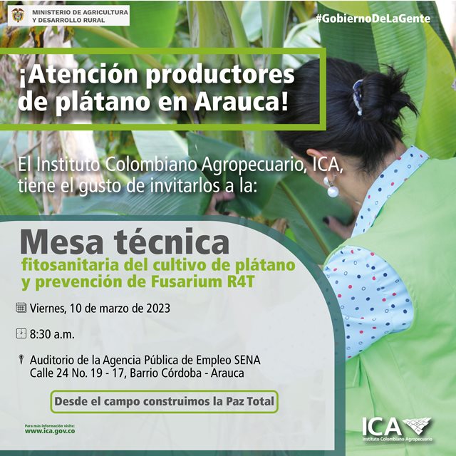 Invitacion-Arauca-Productores-de-platano_Mesa-de-trabajo-1-3.jpg