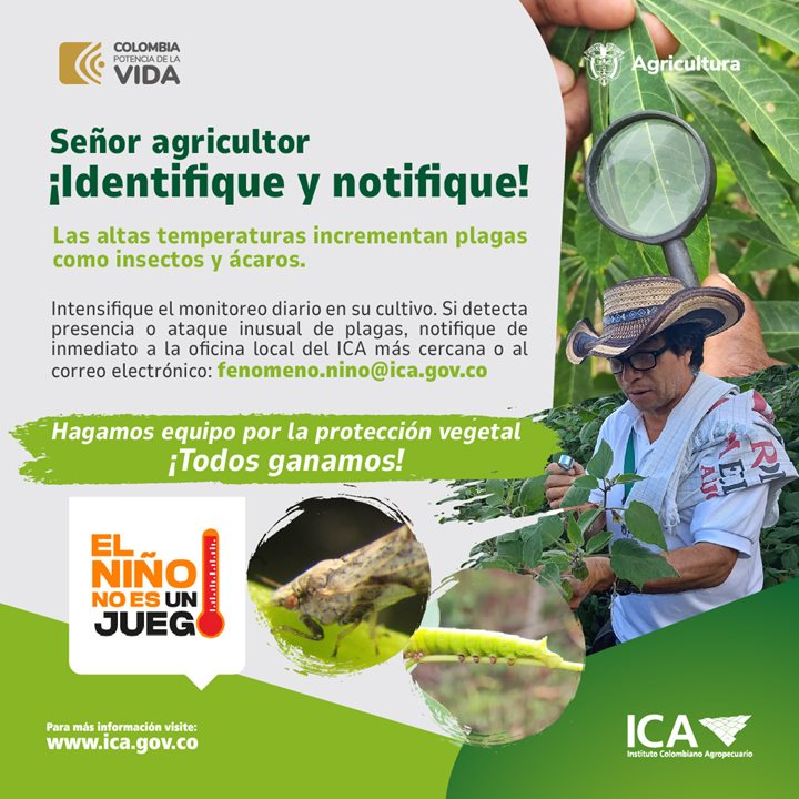 INSECTO-ACAROS-1.jpeg