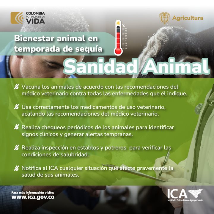 sequi_animal_3-1.jpg
