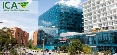 imagen que muestra el edificio de plaza claro donde estamos ubicados