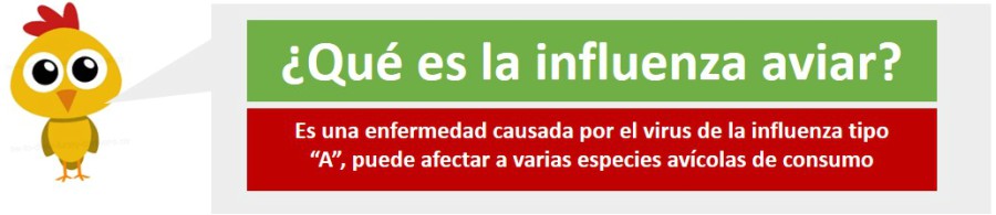cabezote_aviar_web.jpg