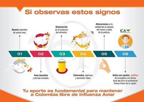 infografia_aviar_1.jpg