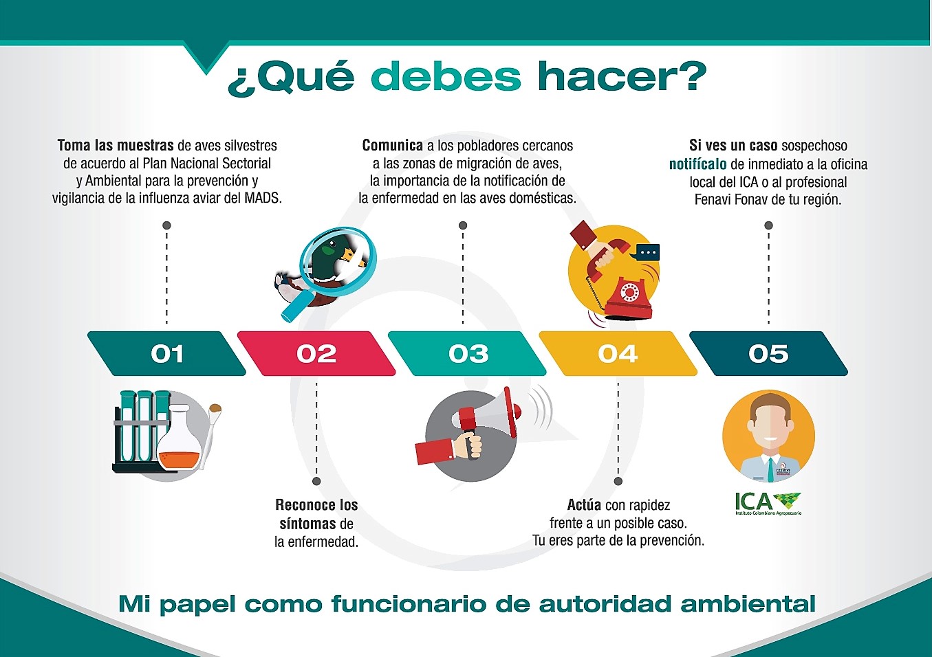 infografia_aviar_3.jpg