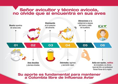 infografia_aviar_4.jpg