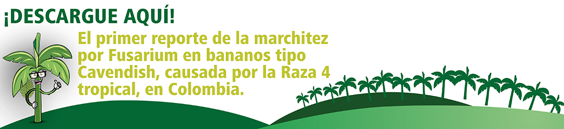 banner-reporte-fusarium-01-1.jpg