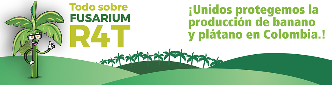 Todo sobre Fusarium R4T