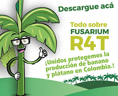descarga-FOCR4T.jpg