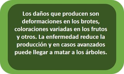 texto_a.jpg