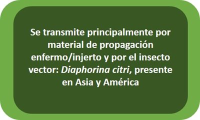 texto_b.jpg