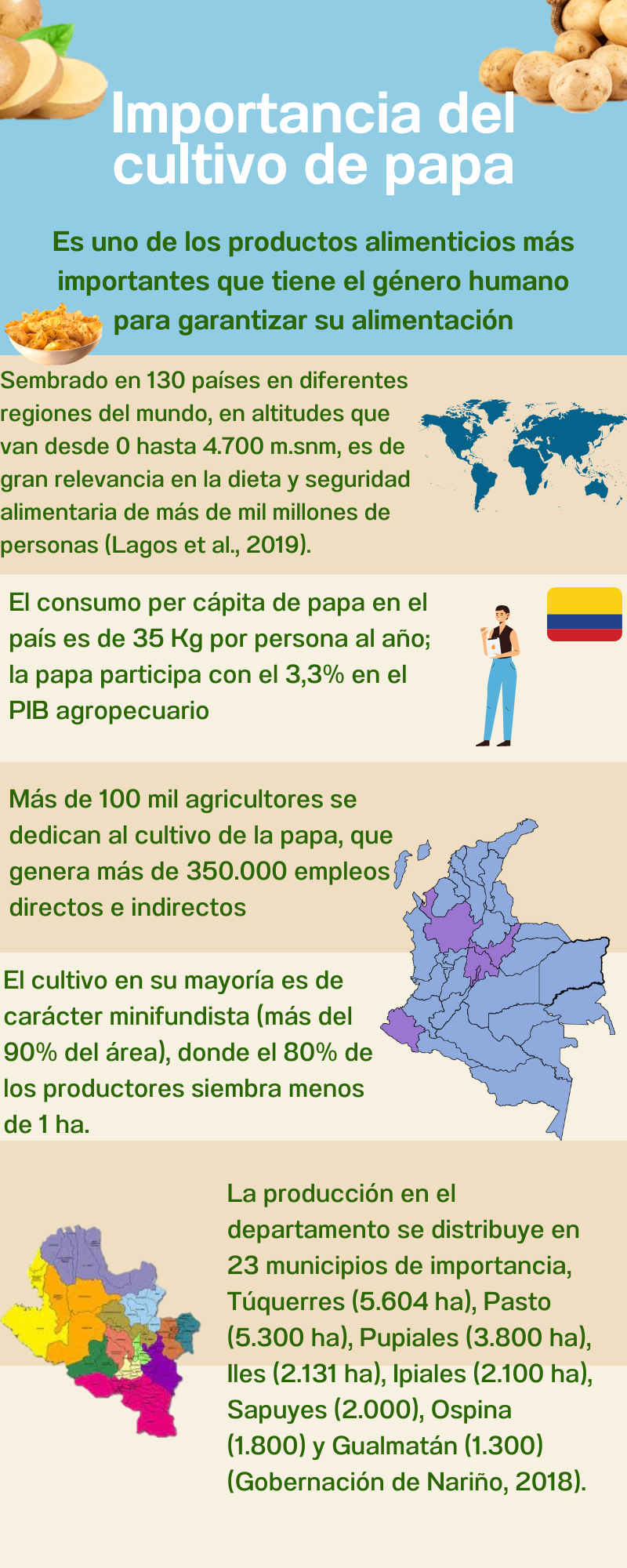 Infografia-introduccion-papa-1.png