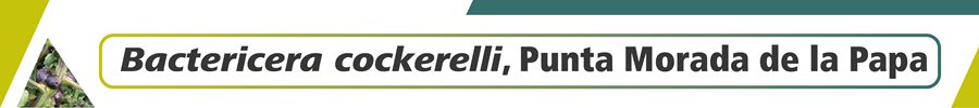 banner-principal.jpg