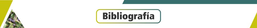 bibliografia.jpg