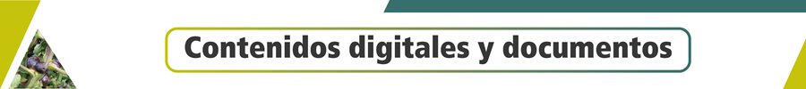 contenidos-digitales-y-docs.jpg contenidos-digitales-y-docs.jpg